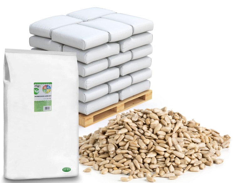 słonecznik dla ptaków