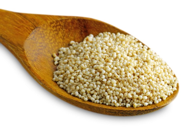 jak wygląda biały mak