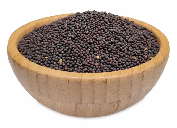 RZEPAK-Ziarno-nasiona-rzepaku-DO-TLOCZENIA-OLEJU-1kg-MIGOgroup