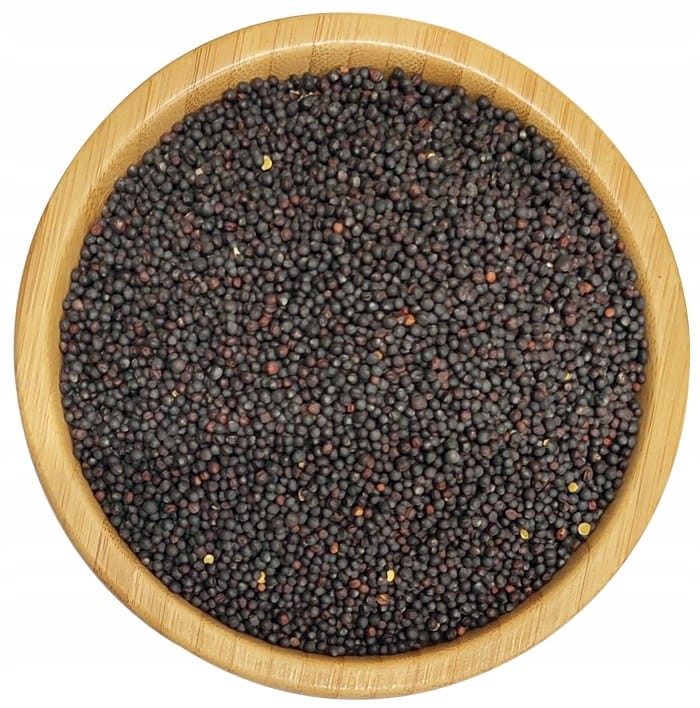 RZEPAK-Ziarno-nasiona-rzepaku-DO-TLOCZENIA-OLEJU-1kg-MIGOgroup